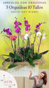 Arreglo Floral